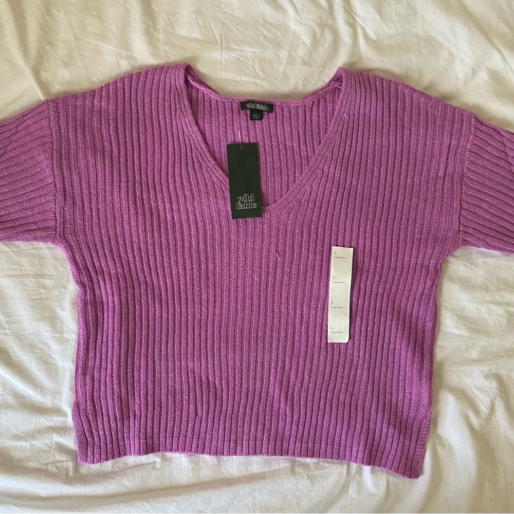 Wild Fable Red Cropped V-Neck Sweater